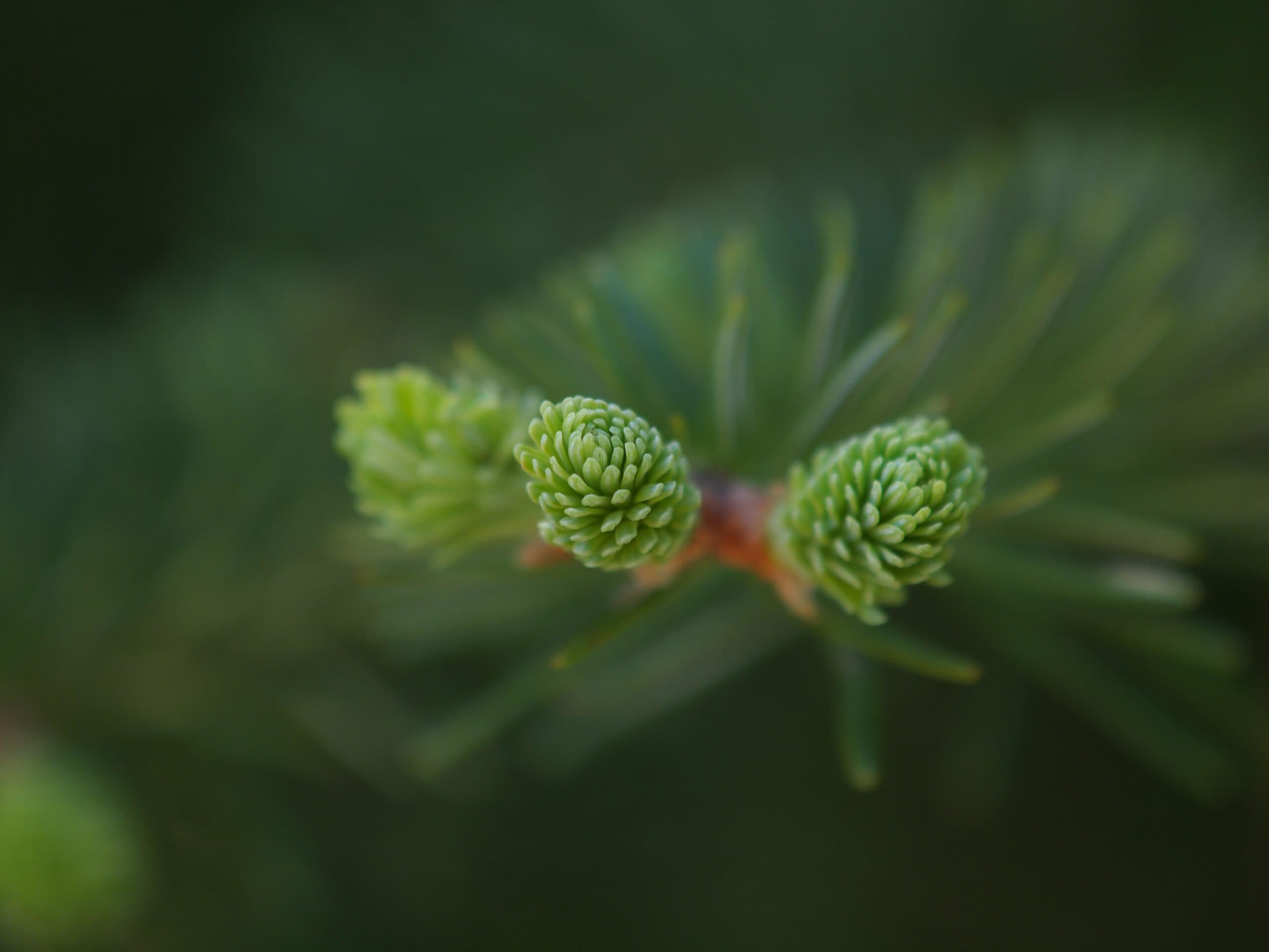 Entrance A modern, two story wood clad building with curved glass walls inspired by the traditional wigwam used by the Algonquin people.